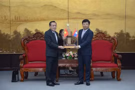 Da Nang, Lao province look to step up cooperation 