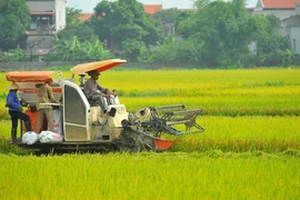 Conference reviews 10-year implementation of social welfare policies