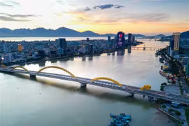 Da Nang looks to foster cooperation with UK