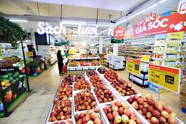 HCM City’s CPI up 0.3% in September 