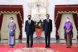 Vietnamese Ambassador presents credentials to Indonesian President
