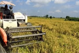Vietnam, ASEAN commit to poverty reduction, food security