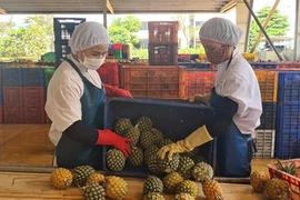 Vietnam targets 5.5 bln USD in agro, forestry, fishery export value to EU