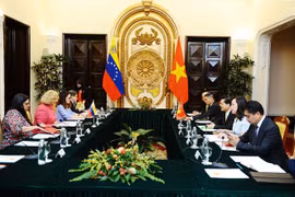Minister suggests Vietnam, Venezuela forge investment, trade ties