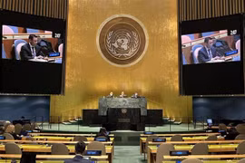 ASEAN pledges efforts to promote nuclear-free Southeast Asia: Ambassador