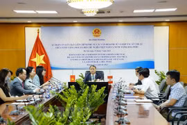 Vietnam ready to beef up economic ties with Peru: Deputy Minister