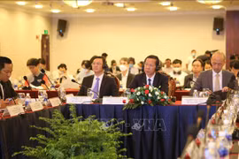 HCM City works to clear hurdles for RoK investors
