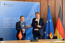 Friendship, cooperation conducive to Vietnam-Germany energy collaboration: official 