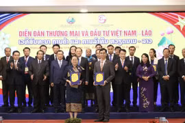 Laos expects more Vietnamese investors: Lao Deputy PM 