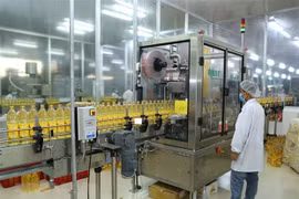 Alibaba unveils promising export opportunities for Vietnamese SMEs