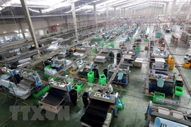 HCM City’s IIP edges down 14.3 percent last year