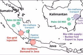 Indonesia to partner with Japan to produce biofuel from palm oil methane