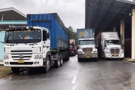 Quang Tri: Imports, exports via international border gates soar