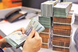 Vietnam's financial strategy aims at sustainable development