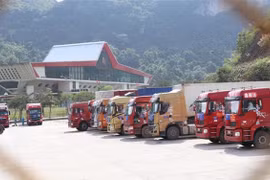 Border province to set up virus-free zones to aid exports