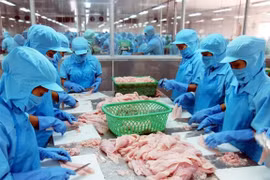 Seafood stocks expected to grow in 2022 on bullish outlook