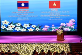 Vietnam-Laos solidarity – factor of vital significance for both nations