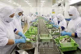 Ca Mau targets 1.3 billion USD from exports next year