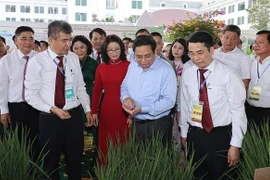 PM emphasises training of high-quality human resources for agriculture