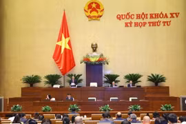 Three draft revised laws, one bill in focus of parliament on November 1