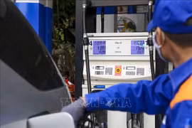PM orders balance of petrol demand, supply for domestic market