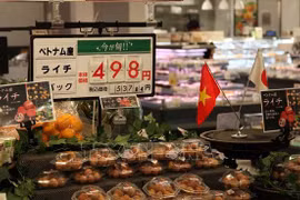 Vietnam boosting agricultural production in accordance with int’l standards: Minister