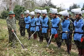 Vietnam shares experience in post-war landmine clearing