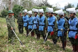 Vietnam shares experience in post-war landmine clearing