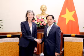 UNDP always attaches importance to cooperation with Vietnam