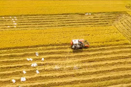 Vietnam targets ecological, sustainable agriculture