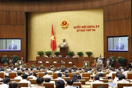  NA debate draft laws on IP, domestic violence, grassroots democracy on May 31