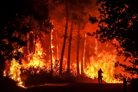 Sympathy offered to France over serious forest fire
