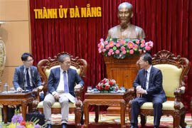 Da Nang hopes for tightened links with Japanese localities, investors