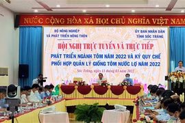Shrimp exports to fetch over 4 billion USD this year