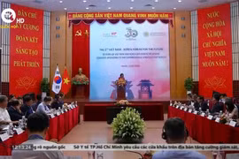 Vietnam, RoK working towards comprehensive strategic partnership