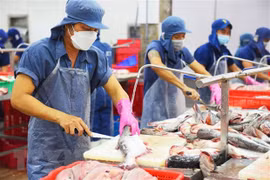 Tra fish exports post strongest growth among fishery products