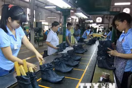 Chances await, but solutions to difficulties needed to maximise EVFTA