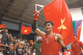 First pro mixed martial arts event to be held in Vietnam