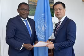UN promises support for Vietnam’s energy transition scheme 