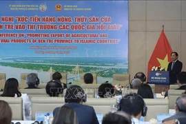 Ben Tre’s agro-aquatic products eye Islamic markets
