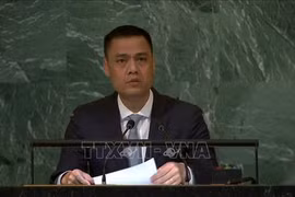 Vietnam calls for support to Palestine in gaining independence