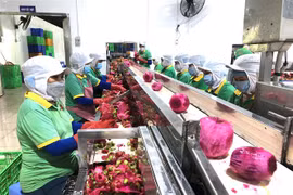 Dong Nai exports first batch of processed fruits in 2022
