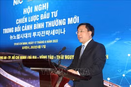 Vietnam, RoK seek stronger investment, innovation partnership