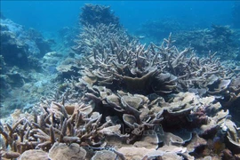 National biodiversity strategy to 2030 approved