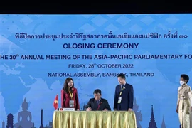 Vietnam calls for enhancing trust building at APPF’s 30th meeting