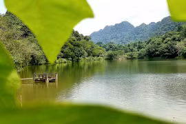 Cuc Phuong National Park again wins at World Travel Awards 2022