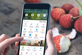 There is a heated race towards digital banking going on in Vietnam, with banking services having found their way into every corner of life. (Photo: VNA)