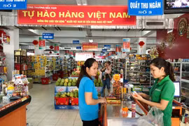 Vietnam should prioritise domestic market: experts