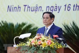PM wants Ninh Thuan to become major national renewable energy hub