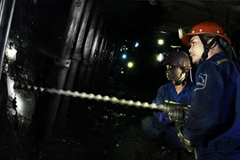 Coal shortages puts thermal power plants at risk